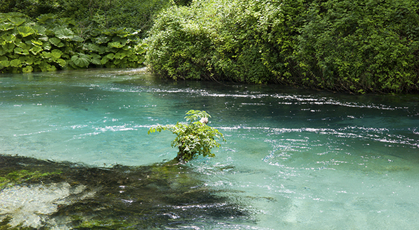 destination_blueeye_600x330