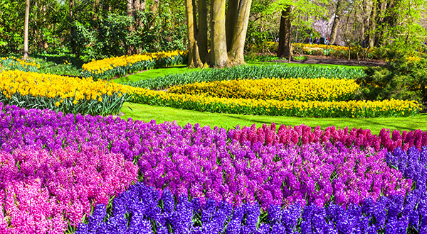 destination_keukenhof_600x330